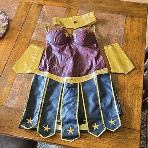 Womens Wonder Woman Costume